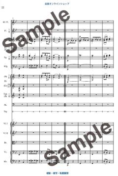 Variations on a Theme by Haydn op. 56a  