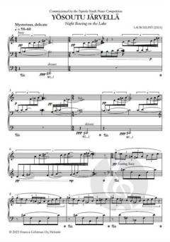 Night Rowing on the Lake  