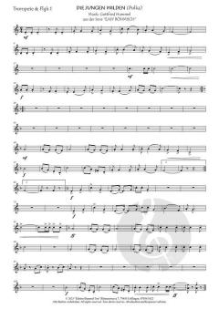 Die jungen Wilden (Polka) von Gottfried Hummel 