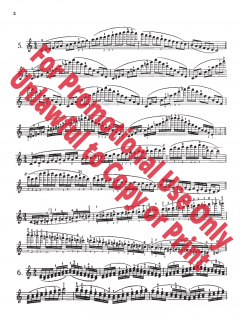 Scale System von Carl F. Flesch 