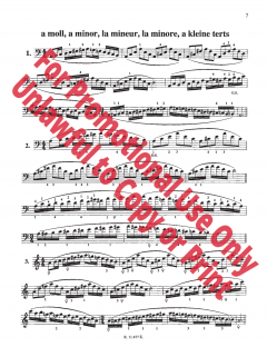 Scale System for Double Bass von Carl F. Flesch 