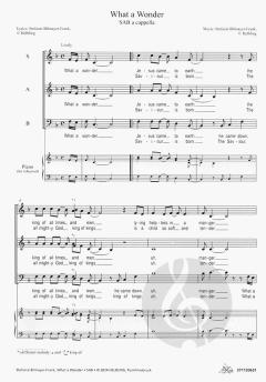 What a Wonder von Stefanie Bilmayer-Frank 