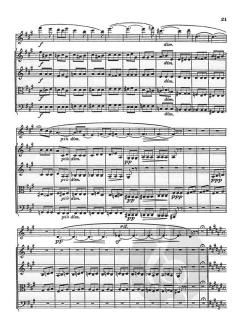Theme and Variations, Op. 80 for Flute and String Quartet von Amy Beach 