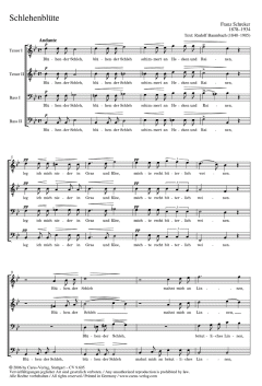 Schlehenblüte; Versunken von Franz Schreker (Download) 