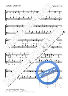 Laudate Dominum a-Moll von Giuseppe Ottavio Pitoni (Download) 