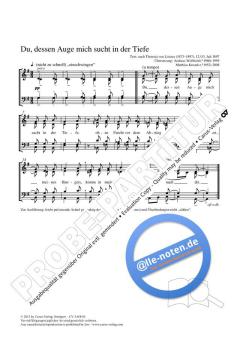 Du, dessen Auge mich sucht in der Tiefe von Matthias Kreuels (Download) 