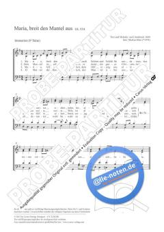 Maria, breit den Mantel aus G-Dur von Markus Hinz (Download) 