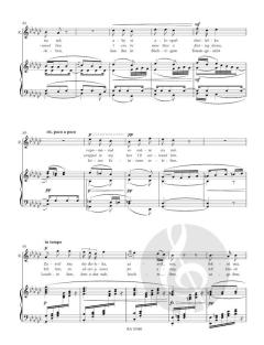 Rusalkas Lied an den Mond von Antonín Dvořák 