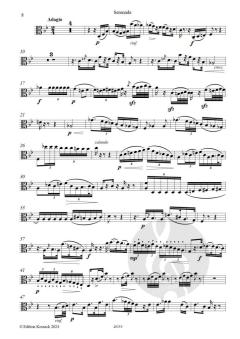 Serenade von Johann Joseph Rösler 