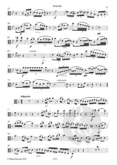 Serenade von Johann Joseph Rösler 