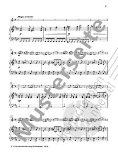 Concerto op.35 von Oskar Rieding 