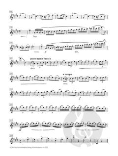 Allegro appassionato op.43 von Camille Saint-Saëns 