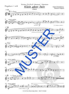 Klein aber fein von Die kleine Egerländer-Besetzung 