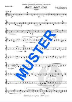 Klein aber fein von Die kleine Egerländer-Besetzung 