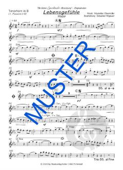 Lebensgefühle von Die kleine Egerländer-Besetzung 