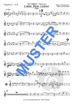 Liebe dein Leben von Southbrass 