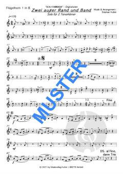 Zwei außer Rand und Band von Southbrass 