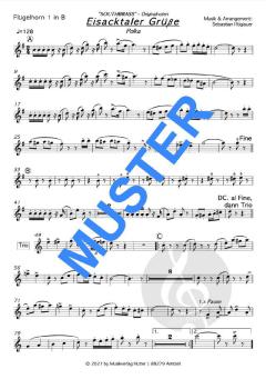 Eisacktaler Grüße von Southbrass 