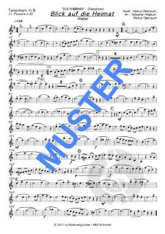 Blick auf die Heimat von Southbrass 