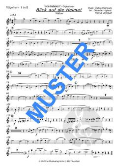 Blick auf die Heimat von Southbrass 