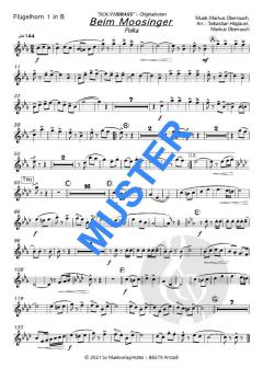 Beim Moosinger von Southbrass 