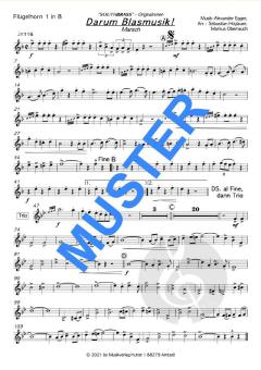 Darum Blasmusik! von Southbrass 