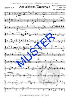 Am schönen Thunersee von Ernst Hutter 