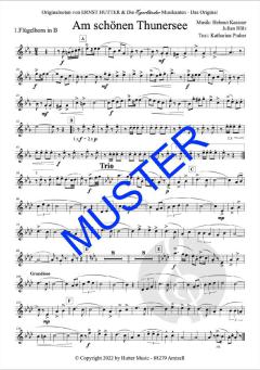 Am schönen Thunersee von Ernst Hutter 