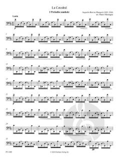 La Catedral - Julia Florida von Agustín Barrios Mangoré 