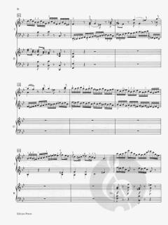 Konzert B-Dur KV 450 von Wolfgang Amadeus Mozart 