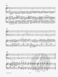 Konzert B-Dur KV 450 von Wolfgang Amadeus Mozart 