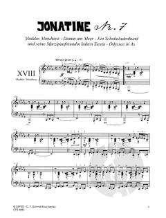 Jonatinen Nr. 7 & 8 Band 4 von Nils Mille 