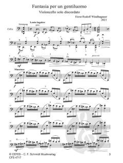 Fantasia per un gentiluomo von Horst Rudolf Windhagauer 