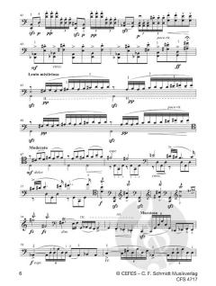 Fantasia per un gentiluomo von Horst Rudolf Windhagauer 