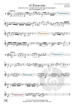 16 Exercises für <br>Tenorhorn in Bb von Achim Graf 
