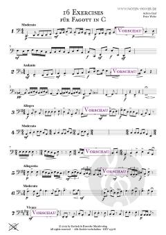 16 Exercises für <br>Fagott von Achim Graf 