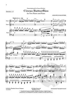 Circus Butterflies  von Adolphus Hailstork 