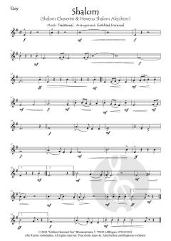 Shalom - Lieder des Frieden 