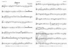 Gefühlsecht  von Maximilian Müller 