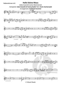 Hallo kleine Maus von Sašo Avsenik 