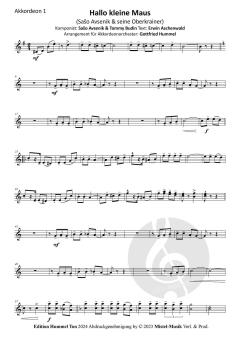 Hallo kleine Maus von Sašo Avsenik 