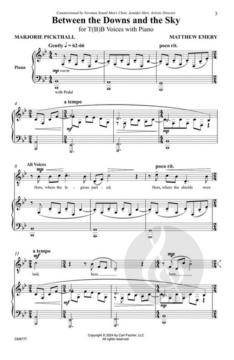 Between the Downs and the Sky  von Matthew Emery 