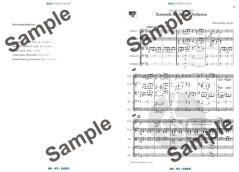 Serenade for String Orchester - Salut D'Amour  von Edward Elgar 