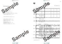 Serenade for String Orchester - Salut D'Amour  von Edward Elgar 