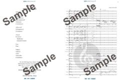 Kashin  von Hikaru Hayashi 