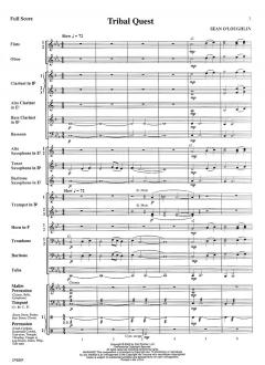 Tribal Quest (Sean O'Loughlin) 