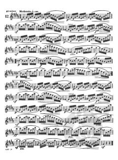 24 Etüden op. 33 von Joachim Andersen 