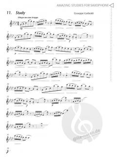 Amazing Studies von Howard Harrison 