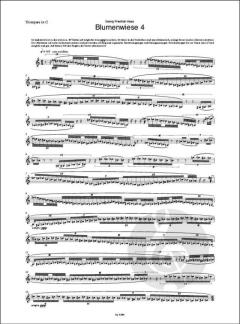 Blumenwiese 4 von Georg Friedrich Haas 