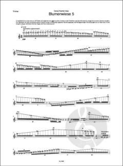 Blumenwiese 5 von Georg Friedrich Haas 